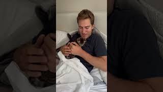 Man Surprises His Partner With a Little Cat - 1532084