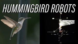 Hummingbird Robots: Naturally Intriguing