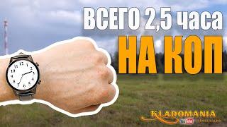 СКОЛЬКО МОНЕТ МОЖНО ЛИ НАЙТИ НА ПОЛЕ за 2,5 часа. Поиск монет на поле. КЛАДОМАНИЯ