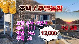 425.대전리 주말농장과 주택매매 고지대의 송라 주택 매매 청정지역의 송라주말농장 매매 포항주택매매 송라주말농장매매  포항부동산 송라부동산 지목부동산