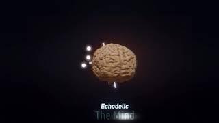 Echodelic  - The Mind