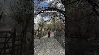 tour to skardu in blossom .#pyaraskardu#nature #foryou #northernareasofpakistan #travel #traveler