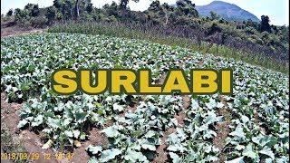 A DAY IN A FARM /SURLABI /CoorgExplorer