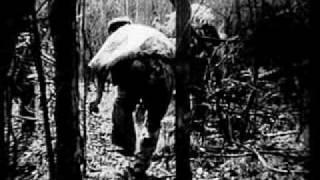 The Viet Cong 1965-1967 - part 1