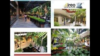 PLAZA FOOD HALL   IREO's 1st Food Court in Gurgaon | Gurgaon Update