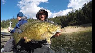 TOP 3 BIGGEST SMALLMOUTH BASS EVER CAUGHT! (compilation)