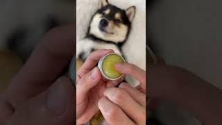 【HD ASMR】Manyu's Immersive Care SPA