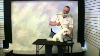 Groomers Helper - Quick Start Training