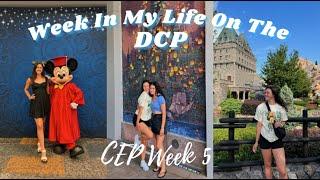 A Week Living and Working in Walt Disney World | CEP 2024