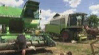 Donetsk farmers worry about harvest amid war