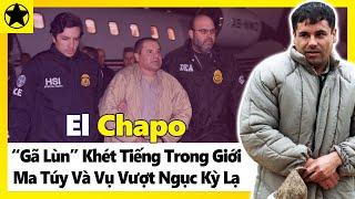 El Chapo - “Gã Lùn” Khét Tiếng Trong Giới Ma Túy Và Vụ Vượt Ngục Kỳ Lạ