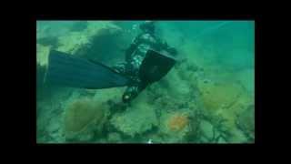 spearfishing with dany...memories