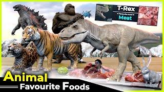 Animal Favourite Food | Animal size