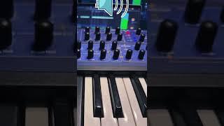 Signal to Wub Ratio - SpaceyBlurr