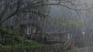 Sound of rain and thunder gives an instant deep sleep - Sound of rain relaxes in the foggy forest