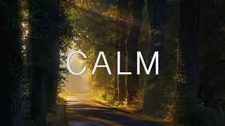 Calm & Relax: Music for Meditation, Sleep, and Stress Relief | Soothing Ambient Music 