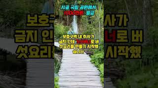 시골 국립공원 1000원 벌금 충격 #썰 #유머