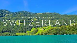 Switzerland: Nature’s Paradise! Nature lovers dream! Nature's relaxation video.