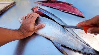 How To Fillet Tuna - From Start To Finish