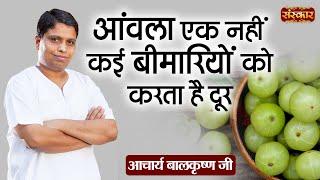 आंवला एक नहीं कई बीमारियों को करता है दूर | Benefits of Amla | Acharya Balkrishna Ji | Sanskar TV