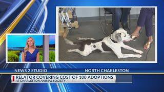 Local realtor paying for 100 adoptions at Charleston Animal Society