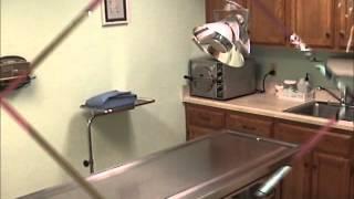 Crestway Animal Clinic - Dr. Edward Nichols - Veterinarian