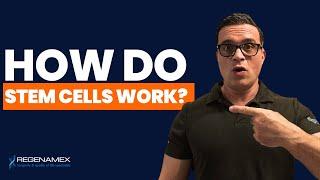 THE SHOCKING TRUTH! How do Stem Cells Work in The Body? 