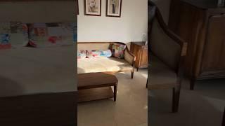 Galaxy 373 Gaj villa view #galaxy #shortsfeed #shortsvideo #villainjaipur #villa