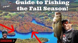 Guide to Fishing the Fall Season!