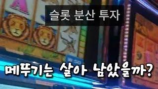 하루에 15대의 슬롯을 돌아다니며 게임해 보기