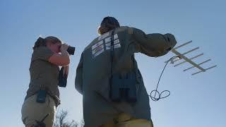 "Catching Giants" - WCFF Trailer