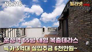 운정역 65평 대형 복층테라스 특가 3억대 실입주금 6천만원 [파주복층빌라]