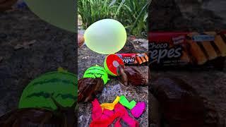Green balloon burst d000rrrr, .....!!!#shots #balloon #meletusbalonhijau #funny #shortvideo
