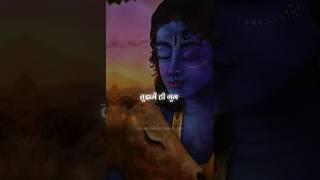 Tu Jo Chhu Le!️| Krishna Status || I AM SANATANI GURU || #youtubeshorts #shorts #god