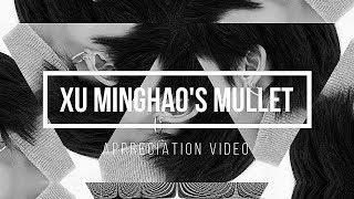 xu minghao's mullet appreciation video