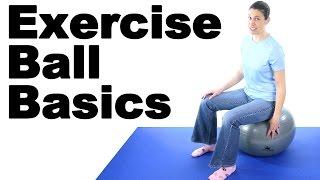 Exercise Ball Basics