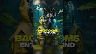 The Loudest Backrooms Level