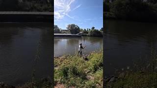 Angler fängt Meter Hecht , damit hat er nicht gerechnet. #spassbeimangeln #angeln #pikefishing