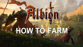 Albion Online - Guide: How To Farm