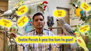 Pet Lovers K sath Dhoke hone lage | Paise le kar Bhag gaye | SCAM  | PBI Official