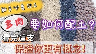 【新手必看】EP.6 多肉要如何配土? 看完保證你更有概念｜A&Y｜Tips Of Soil Mix For Succulent