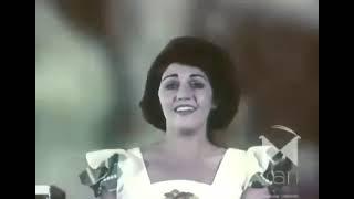  Iranian TV commercial for home electrical goods from the 1970s