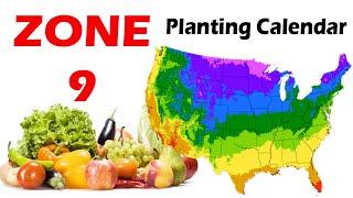 Zone 9 Planting Calendar | Guide to Successful Gardening in Zone 9