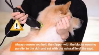 Pet Grooming Kit