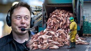 Elon Musk: "You Will Never Eat This Again After Knowing How It`s Made"