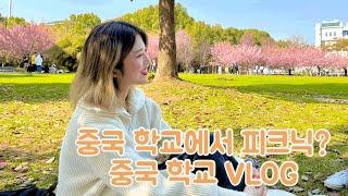중국 유학 올 거면 우한대로 와~!학교에서 피크닉 가능!사심을 담은 중국 대학교 추천|중국에서 제일 예쁜 대학교