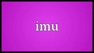 Imu Meaning