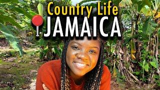 Surviving on $0 budget in the Country-side in JAMAICA