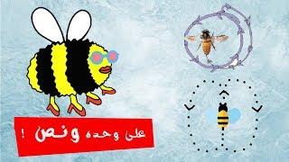 إنتومولوجى بالعربى| رقصة النحل | Bee Dance