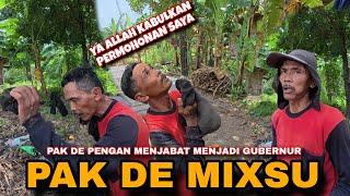 PAK DE MIXUE MAU MENJABAT MENJADI GUBERNUR GUYSSS 